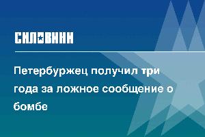 Петербуржец получил три года за ложное сообщение о бомбе