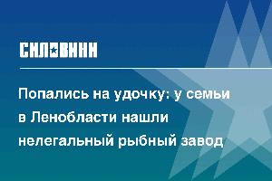Попались на удочку: у семьи в Ленобласти нашли нелегальный рыбный завод