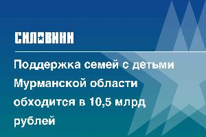 Поддержка семей с детьми Мурманской области обходится в 10,5 млрд рублей