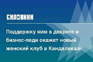 Поддержку мам в декрете и бизнес-леди окажет новый женский клуб в Кандалакше