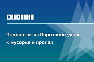 Подросток из Парголово ушел к мусорке и пропал