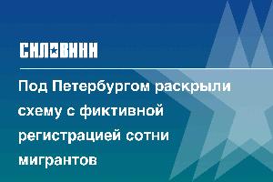 Под Петербургом раскрыли схему с фиктивной регистрацией сотни мигрантов
