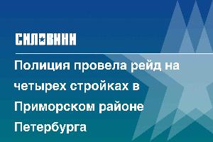 Полиция провела рейд на четырех стройках в Приморском районе Петербурга