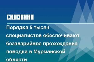 Порядка 5 тысяч специалистов обеспечивают безаварийное прохождение поводка в Мурманской области