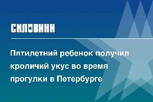 Пятилетний ребенок получил кроличий укус во время прогулки в Петербурге
