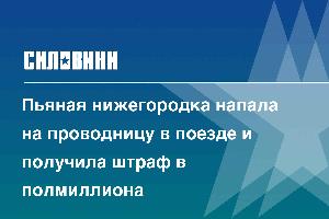 Пьяная нижегородка напала на проводницу в поезде и получила штраф в полмиллиона