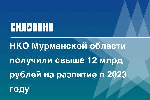 НКО Мурманской области получили свыше 12 млрд рублей на развитие в 2023 году