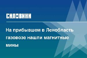 На прибывшем в Ленобласть газовозе нашли магнитные мины