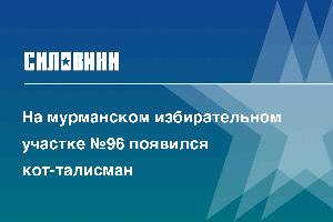 На мурманском избирательном участке №96 появился кот-талисман