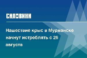 Нашествие крыс в Мурманске начнут истреблять с 26 августа