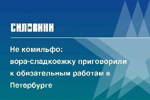 Не комильфо: вора-сладкоежку приговорили к обязательным работам в Петербурге