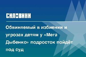 Обвиняемый в избиении и угрозах детям у «Мега Дыбенко» подросток пойдёт под суд