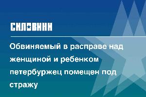 Обвиняемый в расправе над женщиной и ребенком петербуржец помещен под стражу