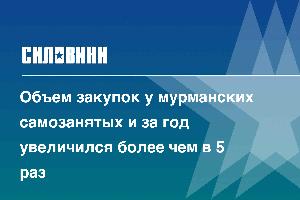 Объем закупок у мурманских самозанятых и за год увеличился более чем в 5 раз