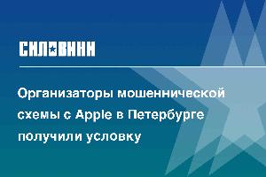 Организаторы мошеннической схемы с Apple в Петербурге получили условку