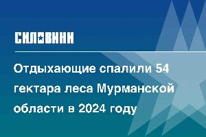 Отдыхающие спалили 54 гектара леса Мурманской области в 2024 году