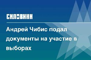 Андрей Чибис подал документы на участие в выборах