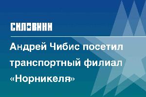 Андрей Чибис посетил транспортный филиал «Норникеля»