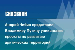 Андрей Чибис представил Владимиру Путину уникальные проекты по развитию арктических территорий