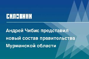 Андрей Чибис представил новый состав правительства Мурманской области