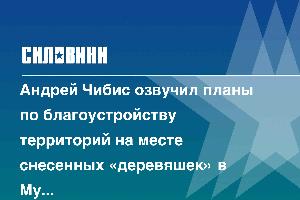 Андрей Чибис озвучил планы по благоустройству территорий на месте снесенных «деревяшек» в Мурманске