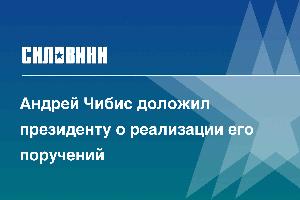 Андрей Чибис доложил президенту о реализации его поручений