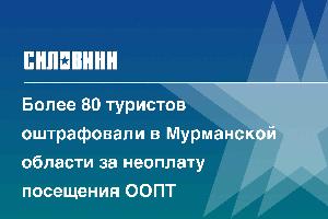 Более 80 туристов оштрафовали в Мурманской области за неоплату посещения ООПТ