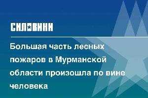 Большая часть лесных пожаров в Мурманской области произошла по вине человека