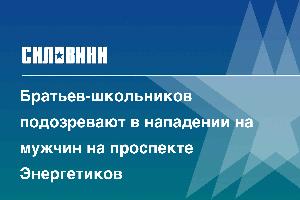 Братьев-школьников подозревают в нападении на мужчин на проспекте Энергетиков
