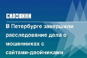В Петербурге завершили расследование дела о мошенниках с сайтами-двойниками