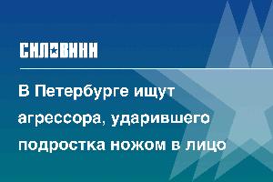 В Петербурге ищут агрессора, ударившего подростка ножом в лицо