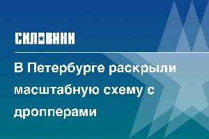 В Петербурге раскрыли масштабную схему с дропперами