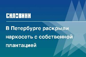 В Петербурге раскрыли наркосеть с собственной плантацией