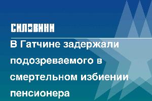 В Гатчине задержали подозреваемого в смертельном избиении пенсионера