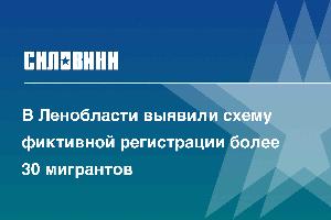 В Ленобласти выявили схему фиктивной регистрации более 30 мигрантов