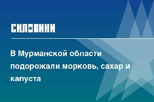 В Мурманской области подорожали морковь, сахар и капуста