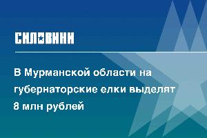 В Мурманской области на губернаторские елки выделят 8 млн рублей