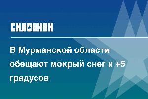 В Мурманской области обещают мокрый снег и +5 градусов