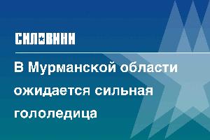 В Мурманской области ожидается сильная гололедица