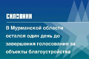 В Мурманской области остался один день до завершения голосования за объекты благоустройства