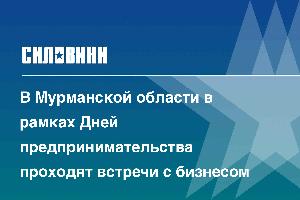 В Мурманской области в рамках Дней предпринимательства проходят встречи с бизнесом