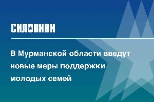 В Мурманской области введут новые меры поддержки молодых семей 