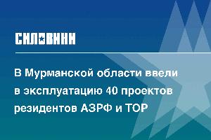 В Мурманской области ввели в эксплуатацию 40 проектов резидентов АЗРФ и ТОР