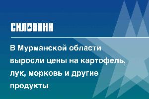 В Мурманской области выросли цены на картофель, лук, морковь и другие продукты