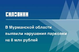 В Мурманской области выявили нарушения парковки на 8 млн рублей