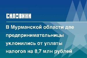 В Мурманской области две предпринимательницы уклонились от уплаты налогов на 8,7 млн рублей