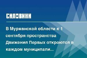 В Мурманской области к 1 сентября пространства Движения Первых откроются в каждом муниципалитете 