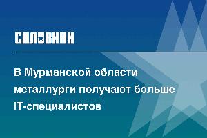 В Мурманской области металлурги получают больше IT-специалистов