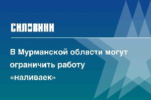 В Мурманской области могут ограничить работу «наливаек»