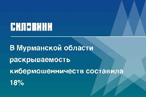 В Мурманской области раскрываемость кибермошенничеств составила 18%